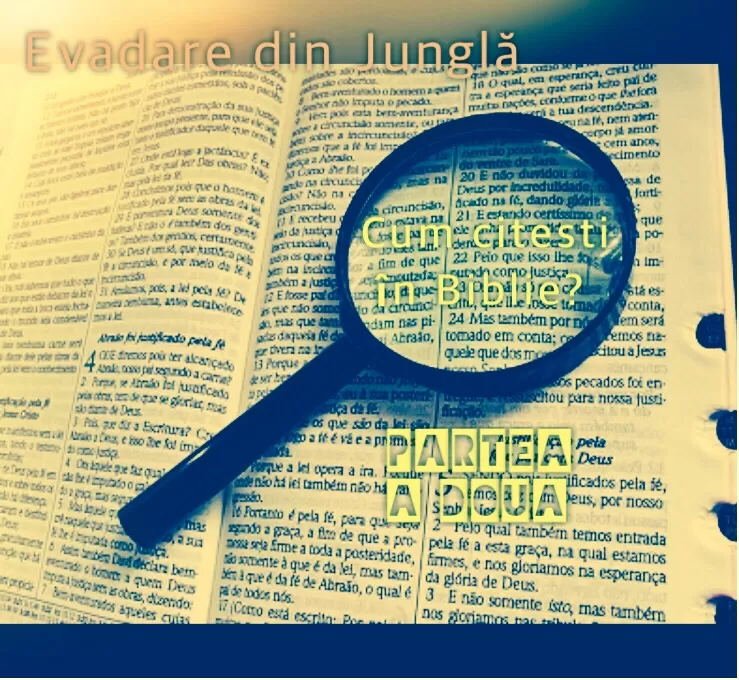 Cum citești în Scriptură?