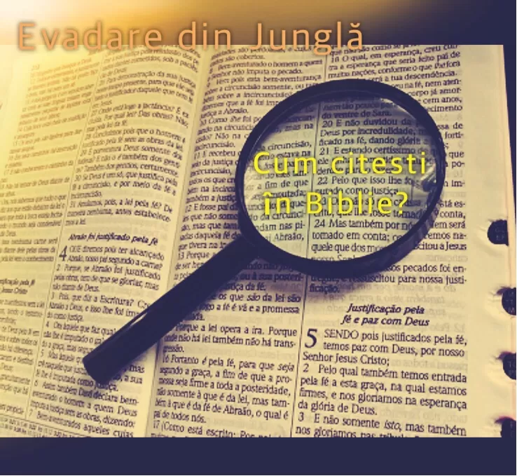 Cum citești în Biblie?